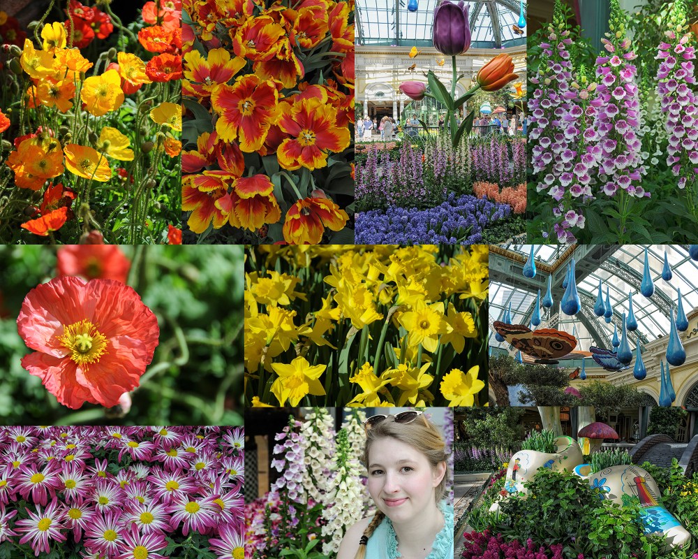 belagiogarden