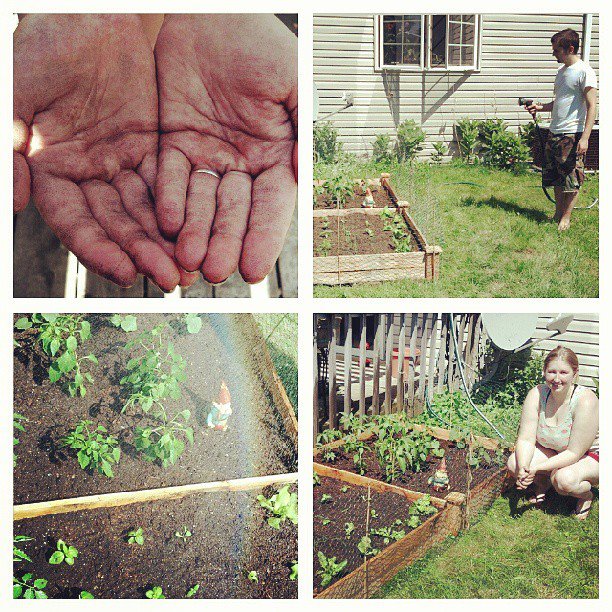 garden planted