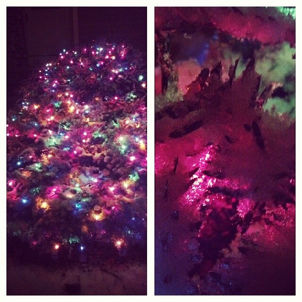 gumdrop bushes