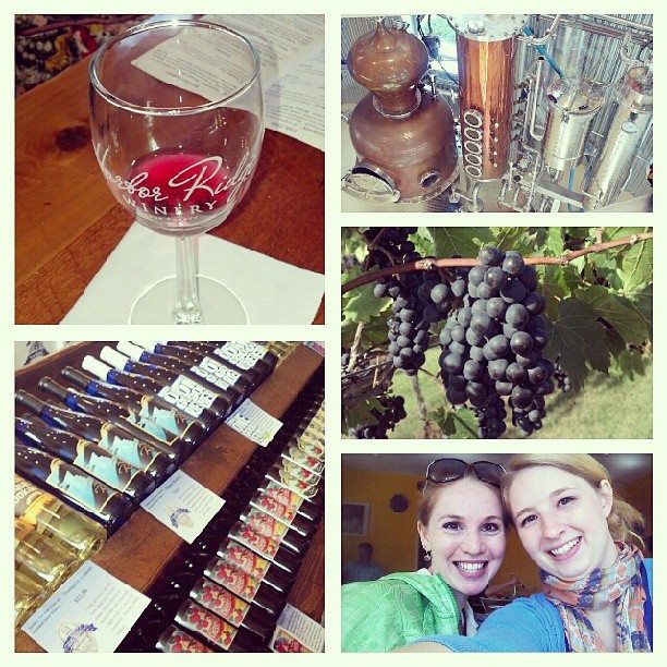 winery 2