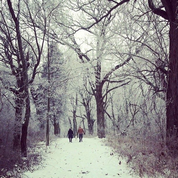 winter wonderland