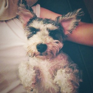 10686612_10100868679836036_2542557984056220201_n