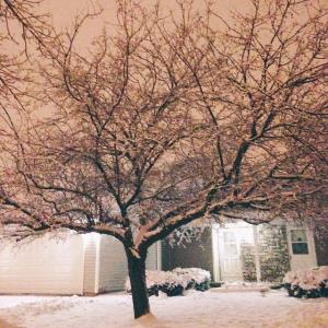 1513723_10100946643181866_3331208564524744892_n