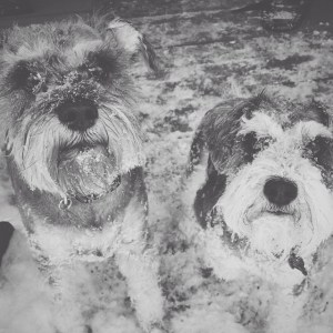 1524977_10100651795628726_1964191032_n