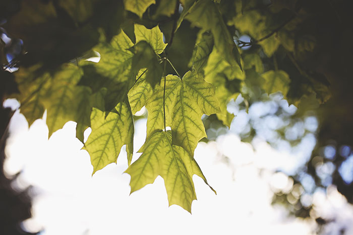 Charlene Champion Photography-RTS Styled Shoot10